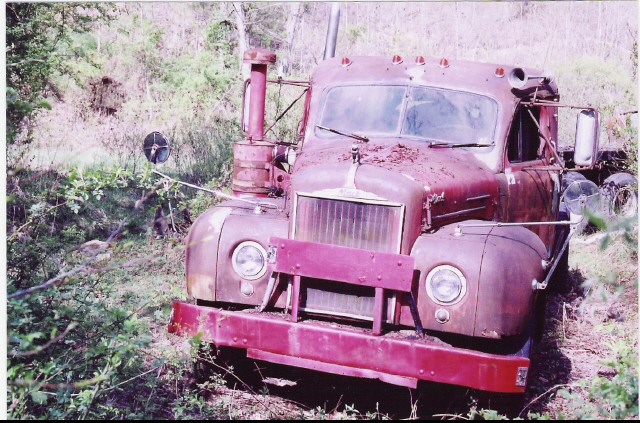 1961 B61-T as found in the woods