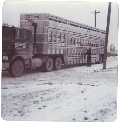 Bulldog Bullhaulers