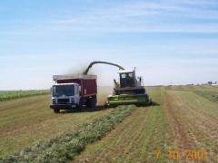 MR used as Silage Truck