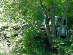DSC00694.JPG
