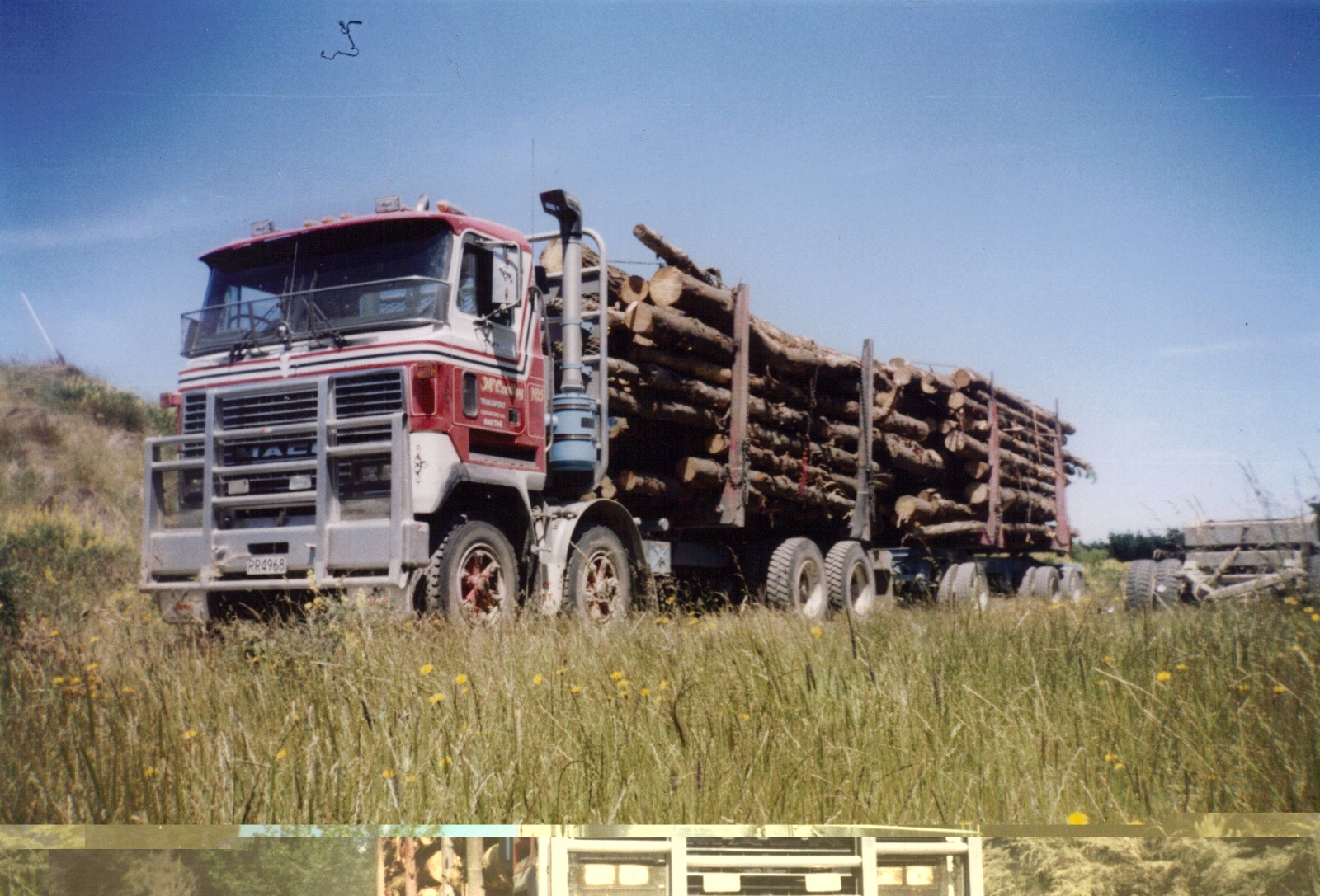 nz loggers