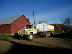 My Farm Dog