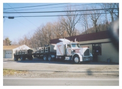 TRUCKS 006.jpg