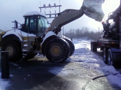 Big Cat
