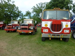 Macungie Truck Show 2013