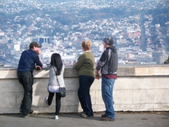 Dunedin,NZ