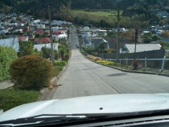 Dunedin,NZ