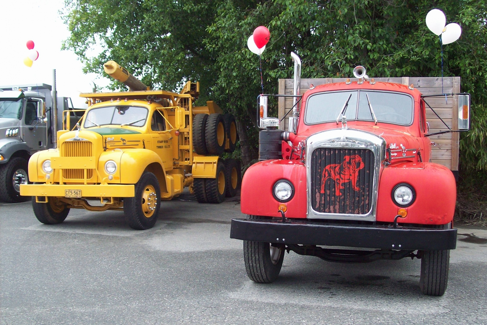 STAMP RIVER TIMBERS B 60 (A 10) And MACk\