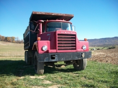 farm Dog