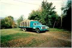 70 GMC 5500 Early 80's