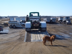 Wendel checking out the new dog