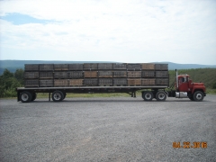 Load of empties