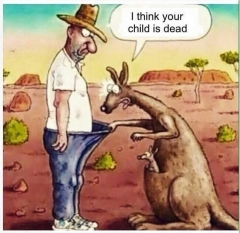 Kangaroo