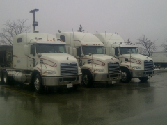 Pinnacle Line up