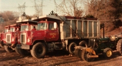 Spring 1984