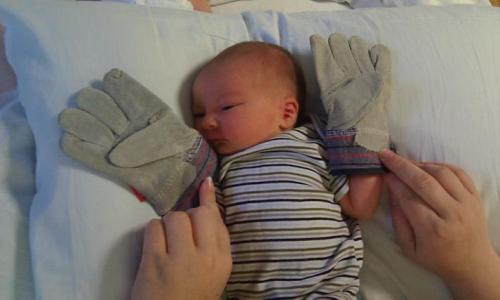 post-1374-0-04125400-1339592266_thumb.jp