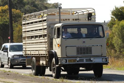 Iveco Acco international australia Post-16320-0-76396300-1402467679_thumb