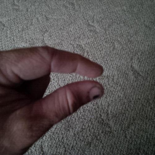 post-1673-0-48891400-1440852578_thumb.jp