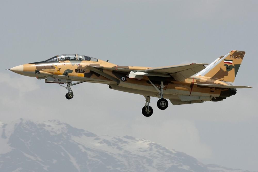 Iranian Air Force F-14 Tomcat (1).jpeg