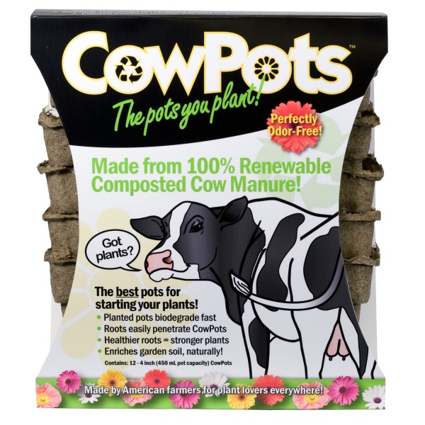 cow-pot-1-600x600.jpg