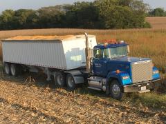 Harvest 2017