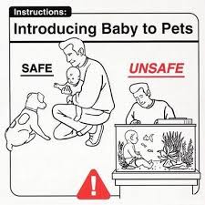 safepets.jpg.6d3b0cb64f8e702a8e7dec3f8fb01b8c.jpg