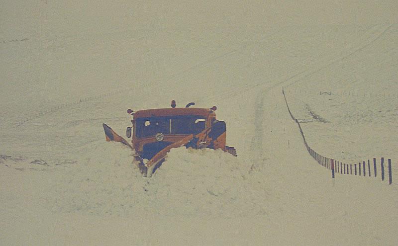 nm_leyland_8130.jpg.c015cb3f6a7029bbf4f9282d96300fb9.jpg
