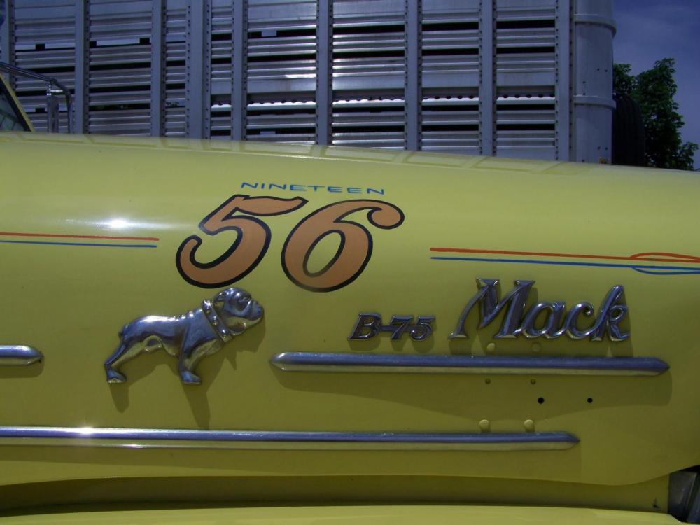 Yellow Mack 1956 B75 no2.jpg
