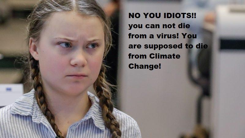 Greta_Thunberg_pissed-800x450.jpg.d142be134785e2bb6a2ac3949004d319.jpg