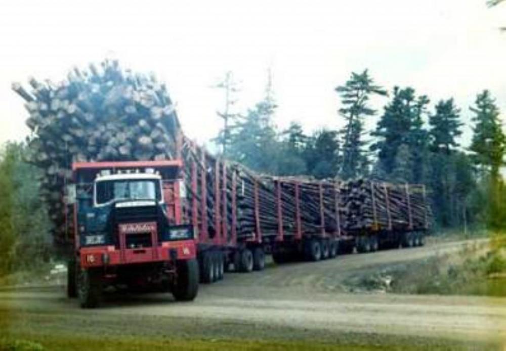 Truck-with-Triple-Trailer-lr_jpg_opti.jpg