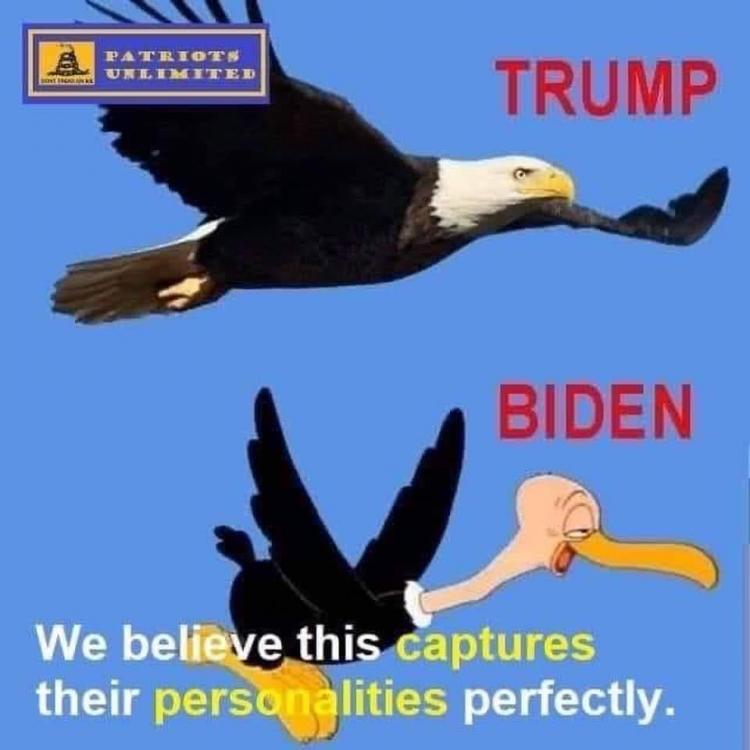 Biden 103.jpg