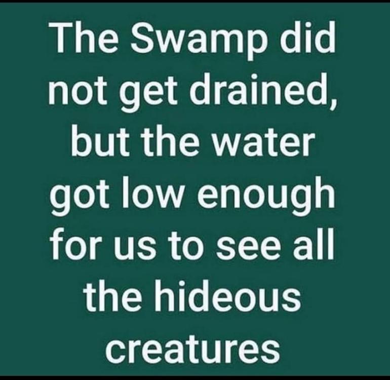 Swamp 1.jpg