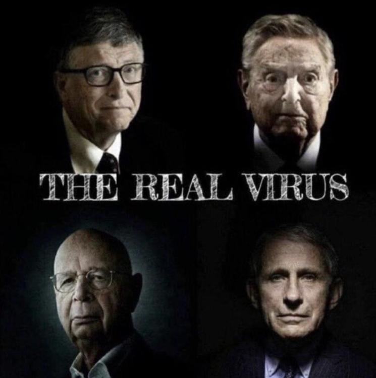 The Real Virus.jpg