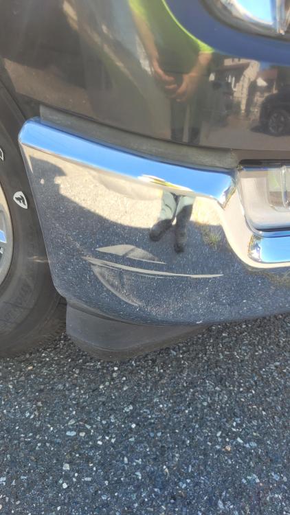 bumper.jpg
