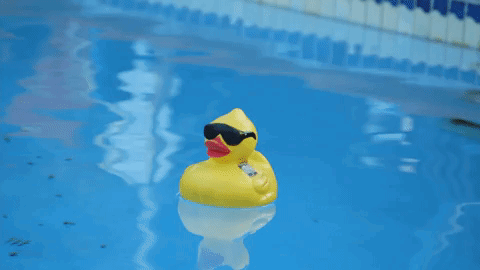 vlod-rubber-duck.gif.13eae7a2e2273fec2923b302325eb9c4.gif