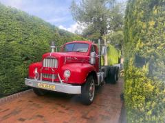 WhatsApp Image 2026-02-03 at 15.37.23 (1)